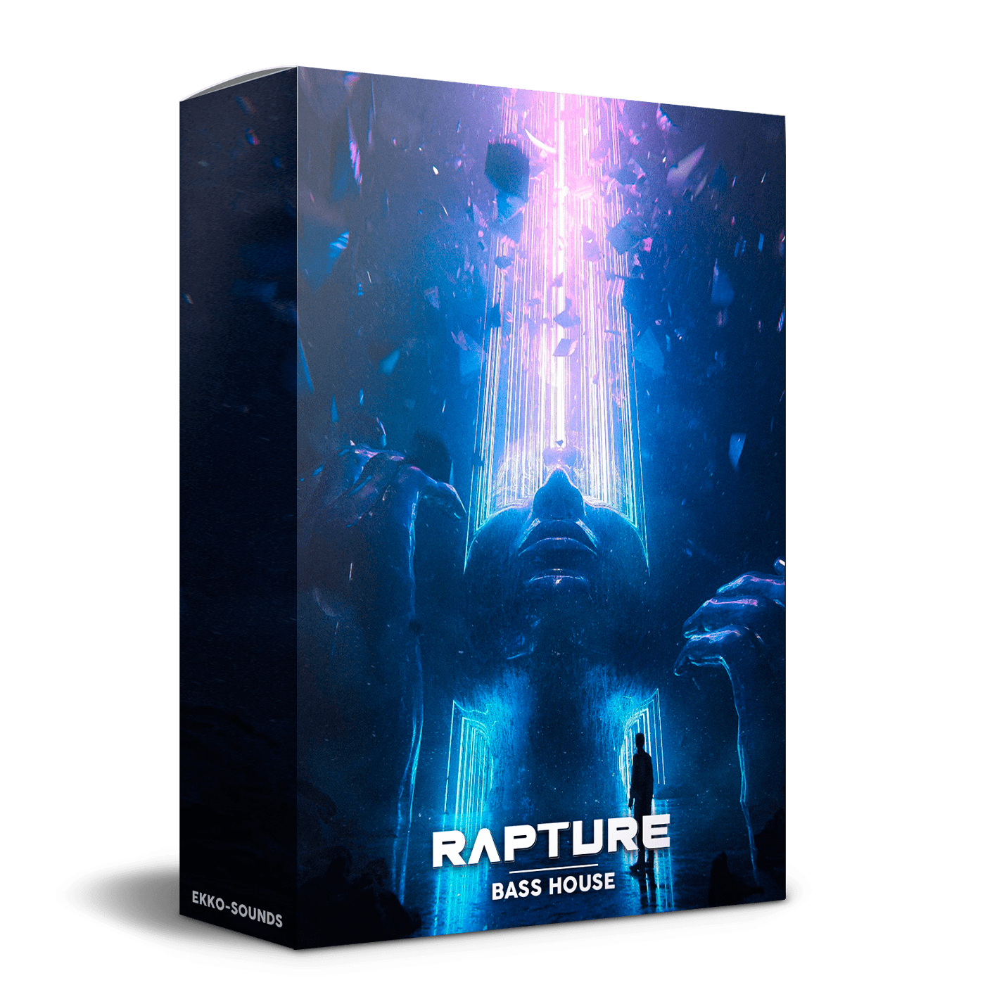 Rapture - Bass House